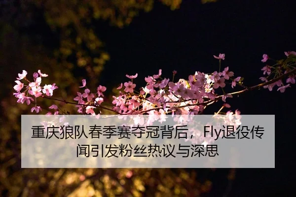 chong-qing-lang-dui-chun-ji-sai-duo-guan-bei-hou-tui-yi-chuan-wen-yin-fa-fen-si-re-yi-yu-shen-si-2-161.jpg